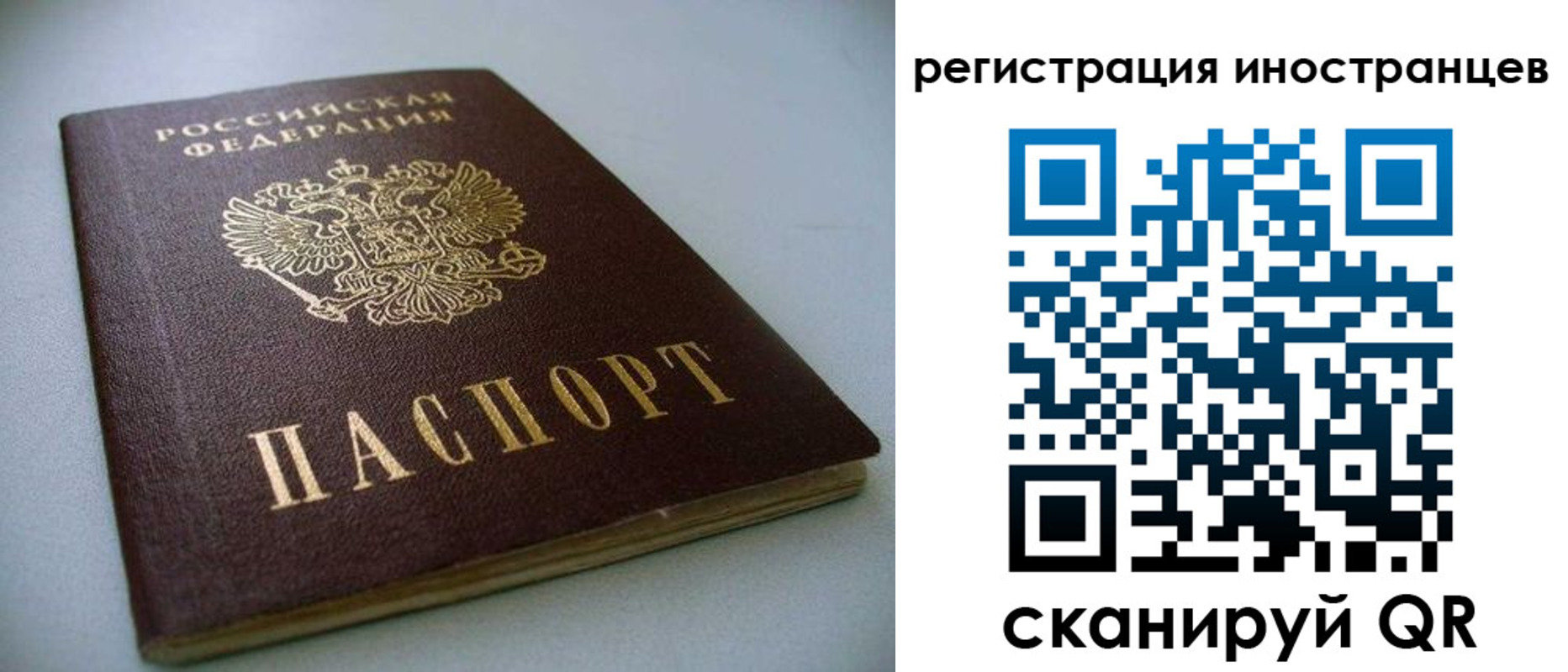 пропишу в квартире в Лысково